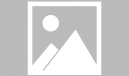 娱乐类吃瓜小说,瓜田里的明星秘闻