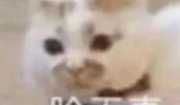 女朋友发吃瓜怎么回复,甜蜜回应女友的趣味互动