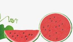 娱乐吃瓜酱素材库下载