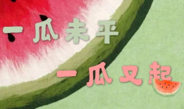 娱乐类吃瓜小说,瓜田里的明星秘闻