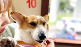 娱乐吃瓜爆料狗仔